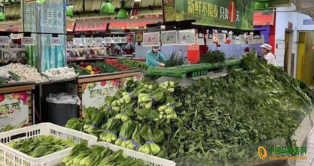江蘇蔬菜價(jià)格小幅上揚(yáng)，新鮮蔬菜零售市場(chǎng)動(dòng)態(tài)分析