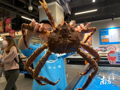 探營盒馬佛山店 二線城市首店落地，本地化策略打造鮮活粵式消費(fèi)新體驗(yàn)